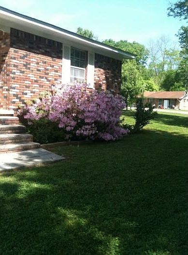 2nd image of 55 Brave St