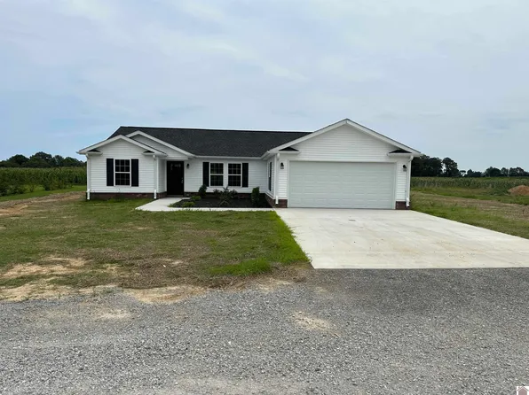 290 Dana Ln, Mayfield, KY 42066