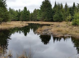 Tbd Bellaire Rd, Baraga, MI 49908