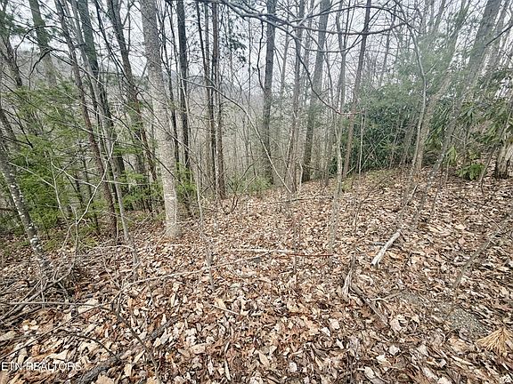 2nd image of 0 Thissa Way Lot 6