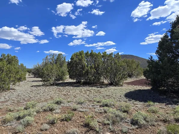 7950 Daisy Dr Lot 25, Williams, AZ 86046