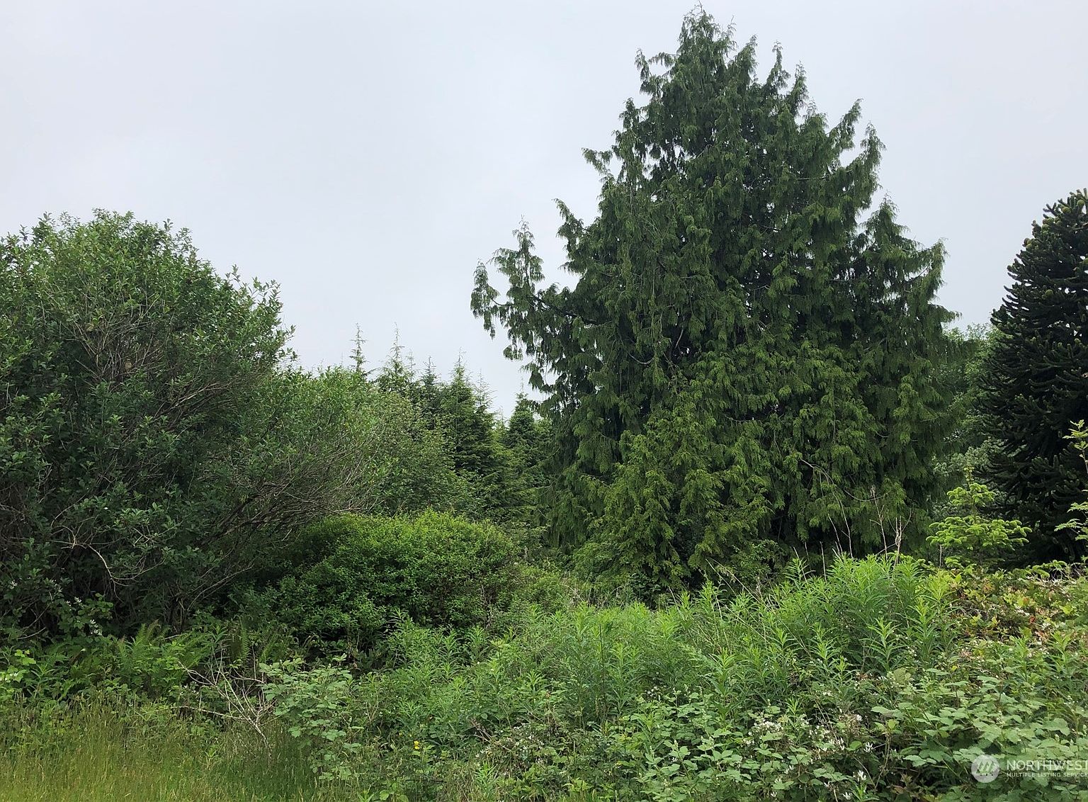 0 View Crest Drive, Copalis Beach, WA 98535 Zillow