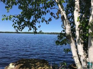 8991 Bear Island Ln, Babbitt, MN 55706