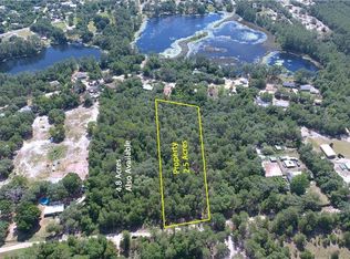 Pine Valley Dr, Paisley, FL 32767