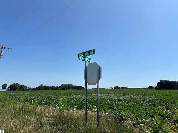 N McClelland Rd, Breckenridge, MI 48615