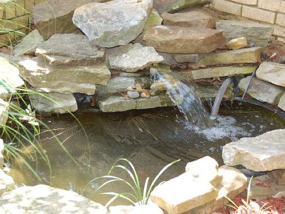 Pond in courtyard.