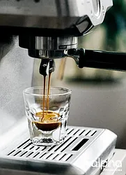 Rented by Alpha Properties NYC I LLC