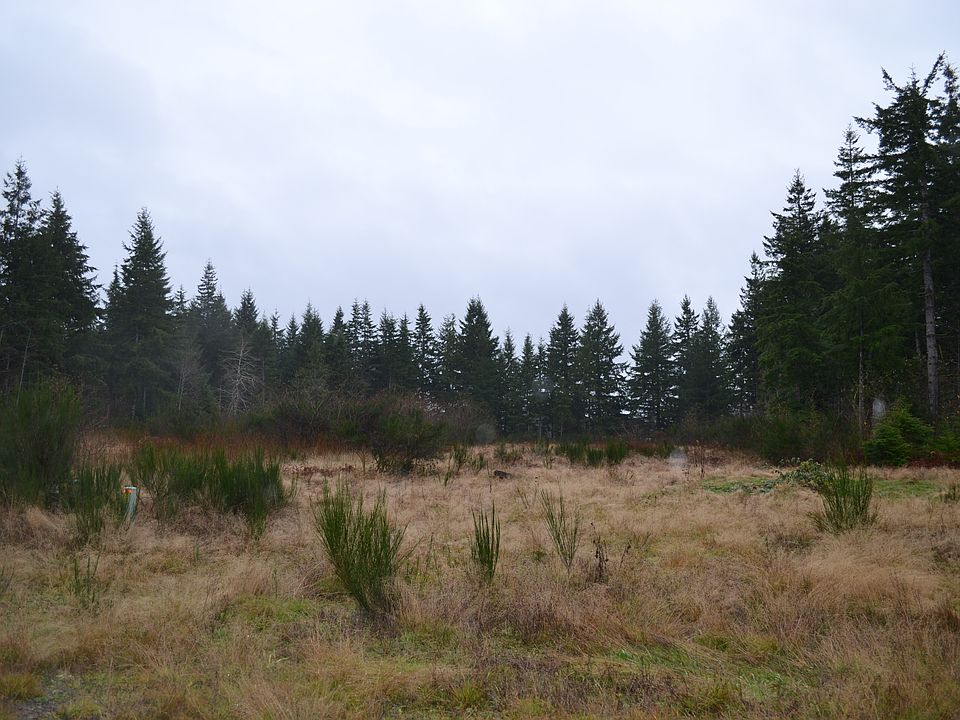 2nd image of 9999 Big Pine Way Lot 6