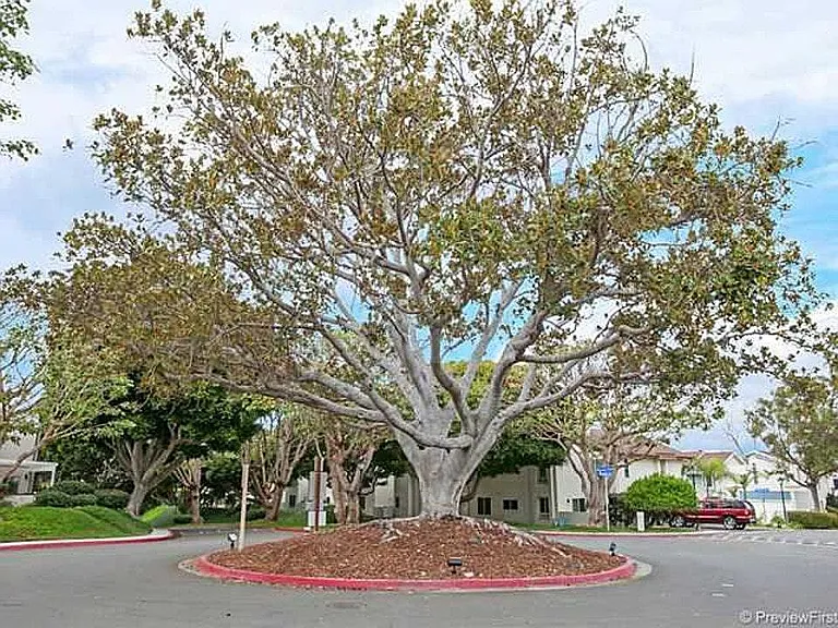 Beautiful Landscaping