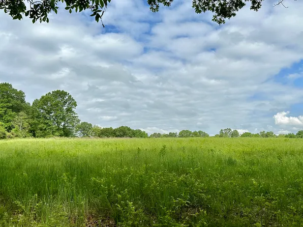 Tbd County Road 312, Ava, MO 65608