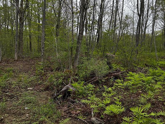 2nd image of 696 Lebanon Road