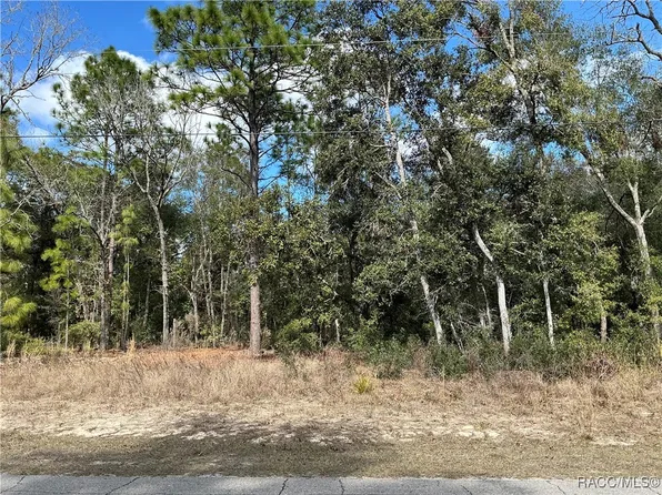 2097 W Mesa Verde Dr, Beverly Hills, FL 34465