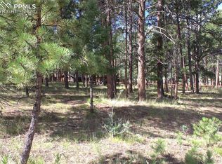 709 W South Ave, Woodland Park, CO 80863