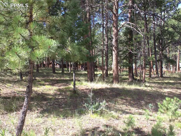 709 W South Ave, Woodland Park, CO 80863