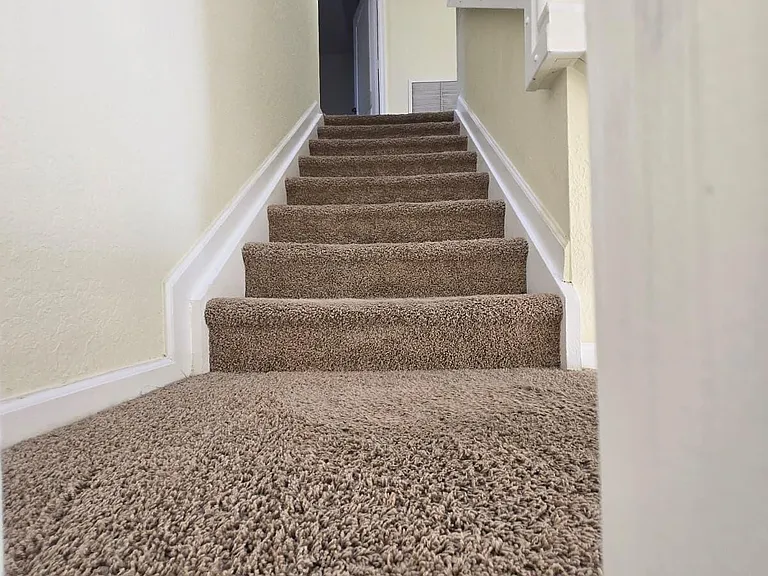 4701 Cohune Palm Ct — Photo 18