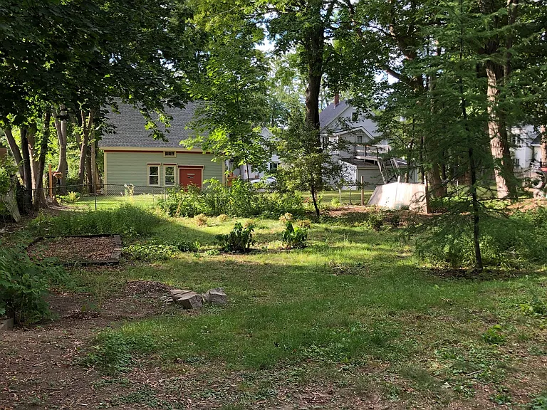 Large back yard.