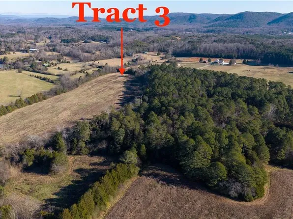0 Liberty Church Rd NE Tract 3, Ranger, GA 30734