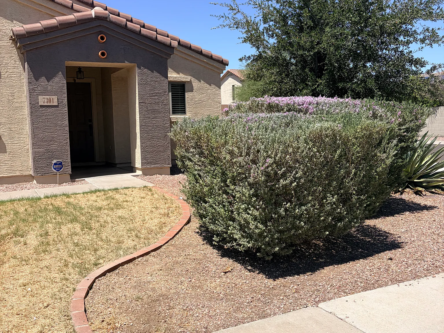 2 bed, 950 sqft, $1,550 — Photo 2