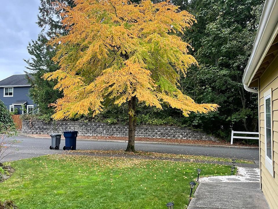 1st image of 127 83rd Ave SE