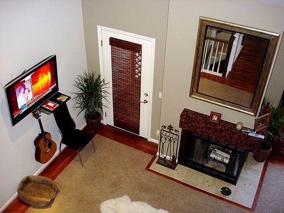 Wood Burning Fireplace