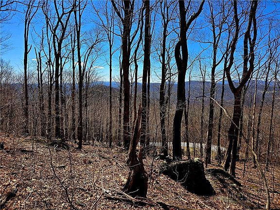 4th image of Lot 78 Elk Creek Mountain Parkway