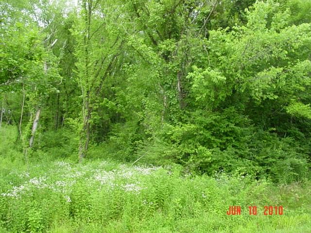 2nd image of 0 Center Star Rd Lot 8