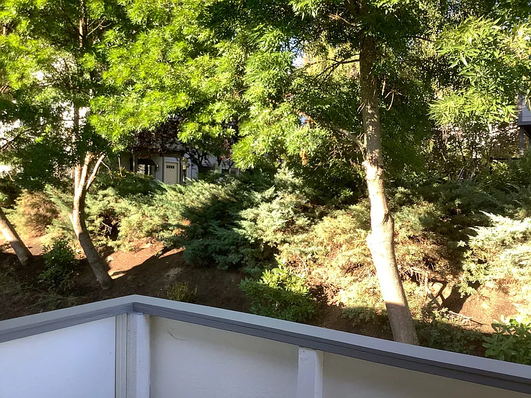 495 Chestnut St #3 — Photo 15