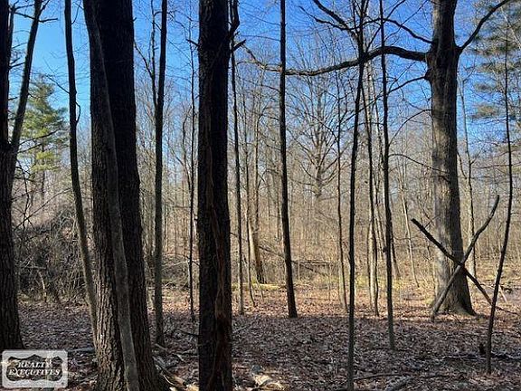 5th image of 0 Burton Rd