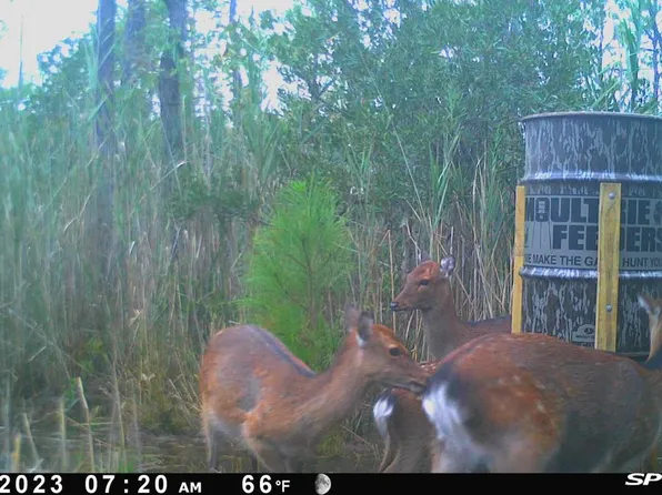 2420 Toddville Rd, Wingate, MD 21675