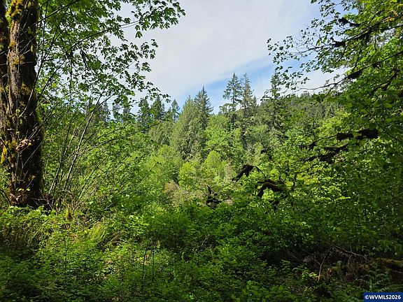 3rd image of LOT 500 Lewis Cemetery Rd