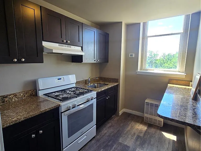 1402 W Liberty St #402 — Photo 4