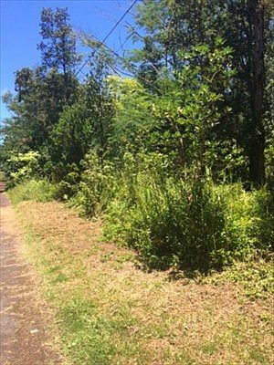 3rd image of Puna St Lot 584