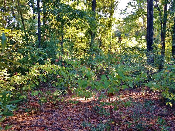 3rd image of Tbd Sw Newark Dr.