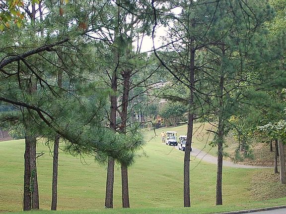 View of Golf course from house