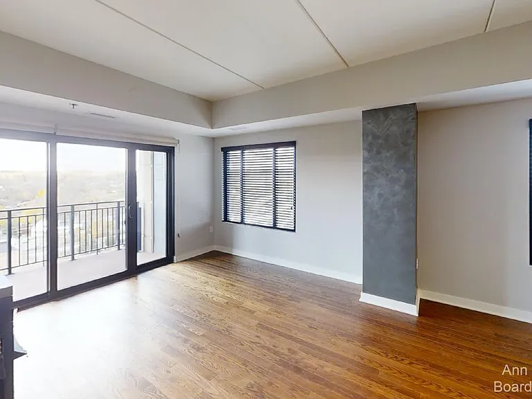 111 N Ashley St #901 — Photo 19