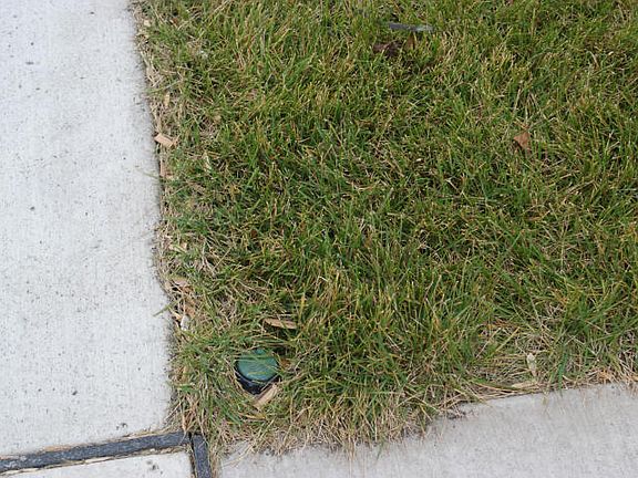4th image of 3522 Shadow Wood Ln E