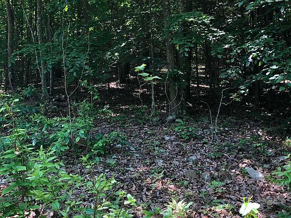 4th image of Tbd Walker Hills Trl
