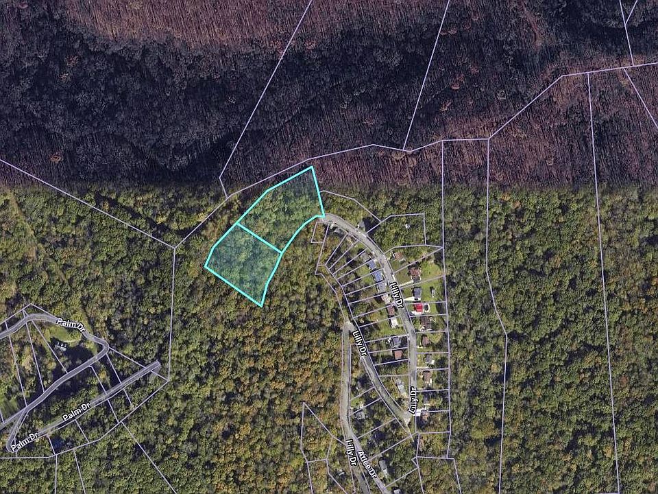 2nd image of 0 Lilly Dr