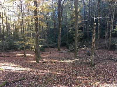 529 Holt Circle, Highlands, NC, 28741