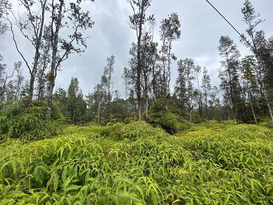 1st image of Molokai Rd Lot 137