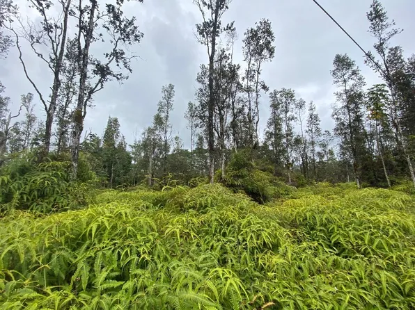 Molokai Rd Lot 137, Pahoa, HI 96778