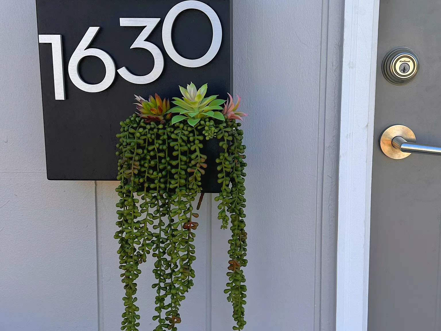 2 bed, 900 sqft, $1,800 — Photo 3