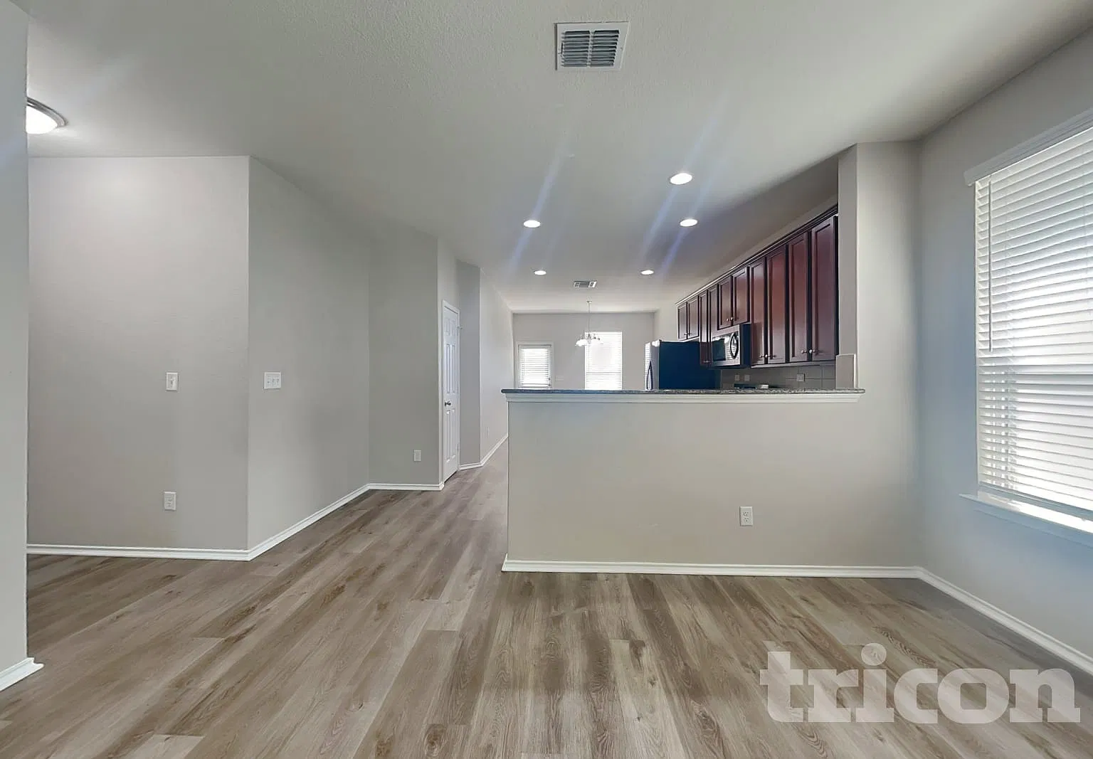 221 Texas Thistle New Braunfels TX — Photo 3