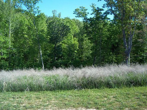 5th image of W Mountain Dr