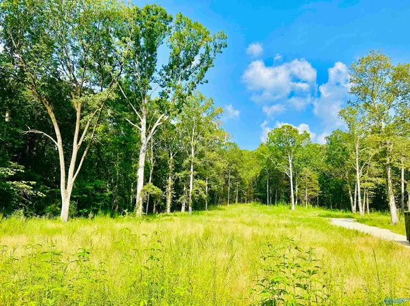 4814 Indian Hills Rd SE, Decatur, AL 35603