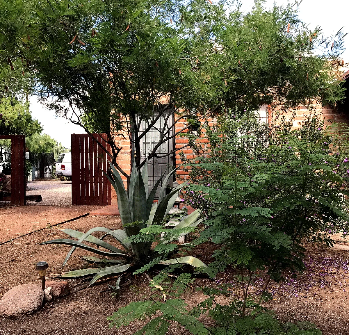 1 bed, 520 sqft, $995 — Photo 1
