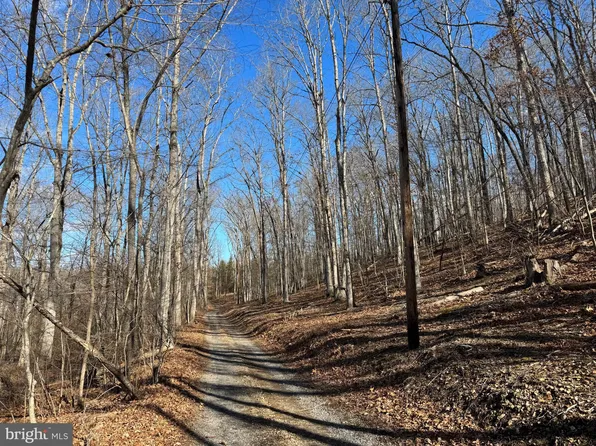Hodges Ln, Winchester, VA 22603