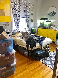 Rented by Ben & Company Inc.