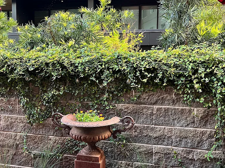 Claremont Towers Apartments — Photo 9