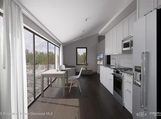 175 Midland Ave #1B, Basalt, CO 81621